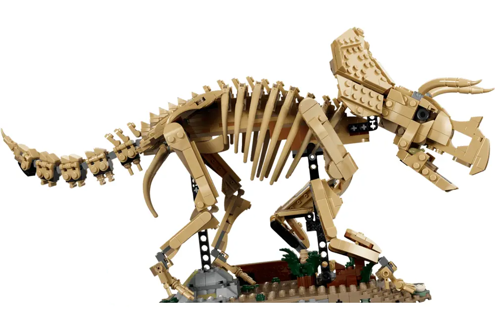 Ilustrační obrázek kategorie Dinosauři