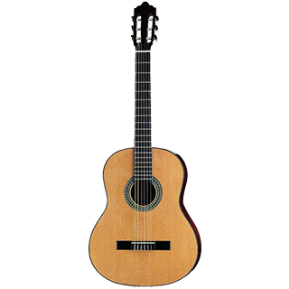 Ilustračný obrázok kategórie Gitary