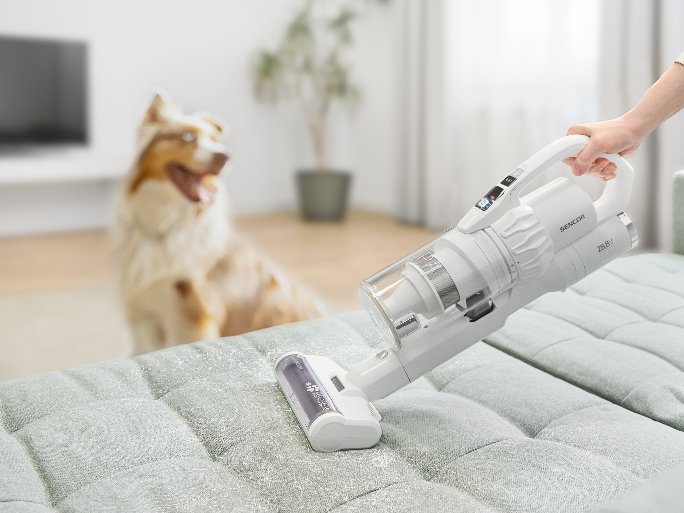 Sencor odkurzacz pionowy 3 w 1 z odłączaną jednostką SVC 9829WH