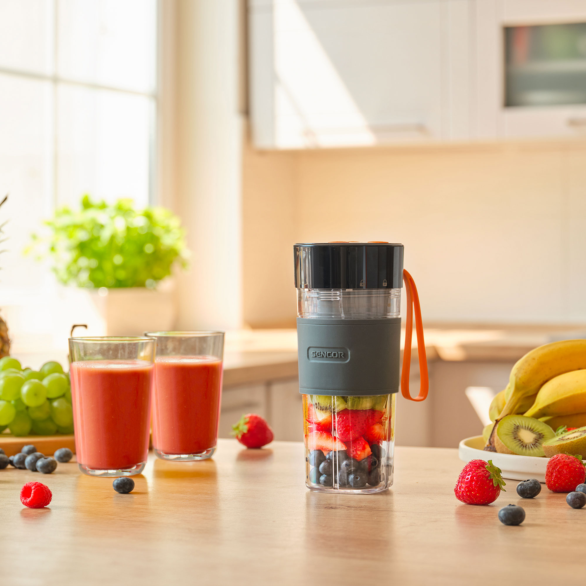 Sencor blender do smoothie SBL 151BK