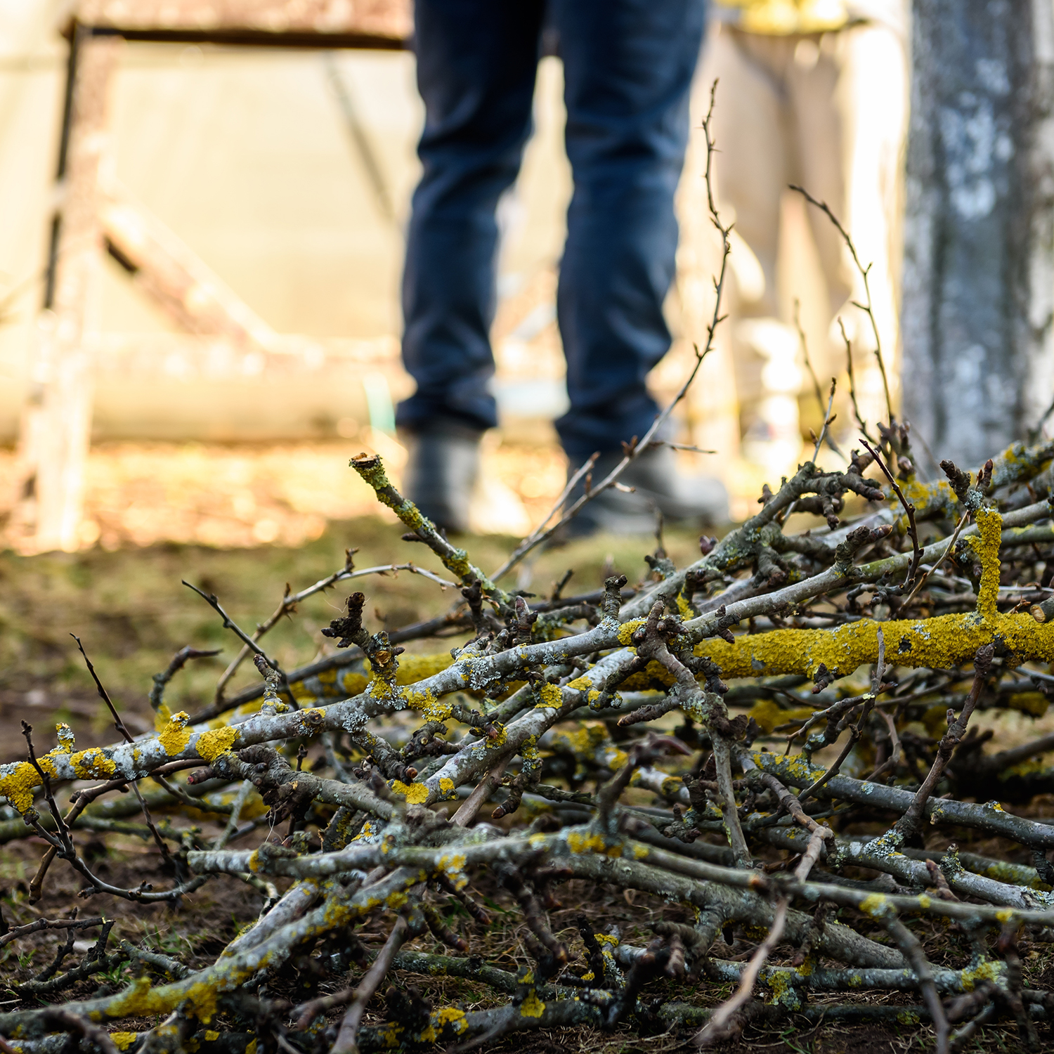 Elektrický drtič větví Fieldmann FZD 4020-E s kapacitou drcení větví do průměru 4 cm pro běžné zahradní použití.