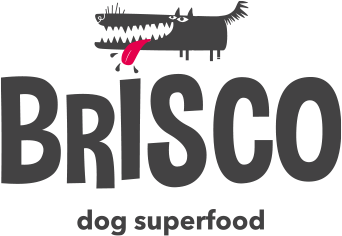 Logo značky BRISCO