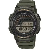 Casio WS-1800-3AVEF
