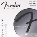 Fender 100 (073-0100-400)
