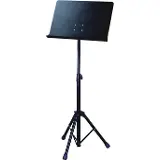 Abx Guitars ABX BS300