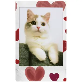 Fotopapír - náhradní kazety - Fujifilm INSTAX MINI HEART SKETCH WW 1 - 3