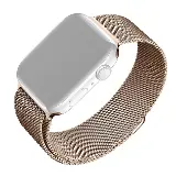 Fixed Mesh Strap AW 38-41mm, růžově zlatý