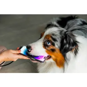 Produktový obrázek