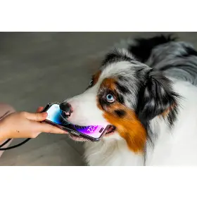 Produktový obrázek