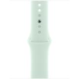 Apple Watch 40mm Sport BandAquamarine - M/L