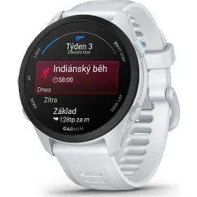 Smart hodinky - Garmin Forerunner 70 Whitestone - 6