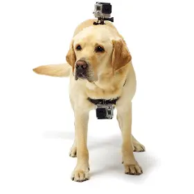 Produktový obrázek