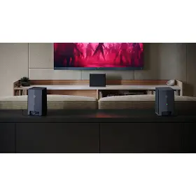 Subwoofer - Sharp CP-AWS0101 - 13