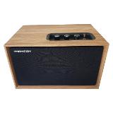 Thomson WS302