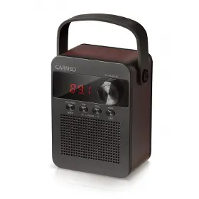 Rádio - Carneo F90 - 1
