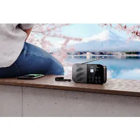 Rádio - Sharp DR-520GY - 12