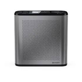 Rádio - Sharp DR-530GY - 2