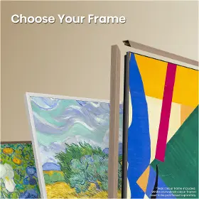 Frame QLED TV - Hisense 65S7S - 9