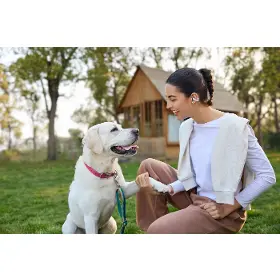 Slúchadlá True Wireless - Shokz OpenDots 2 Black - 9
