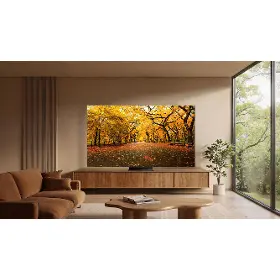 QLED televize - TCL 55C8L - 14