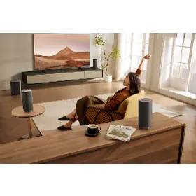 Subwoofer - TCL Z100-SW - 7