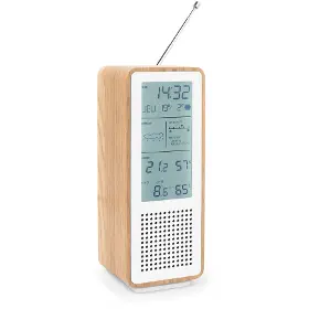 Meteostanice - Thomson WS102TWH - 2