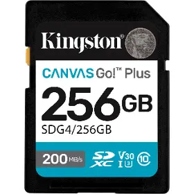 Paměťová karta - Kingston SDG4 256GB - 1