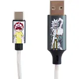 Lazerbuilt Light Up Rick & Morty USB-C