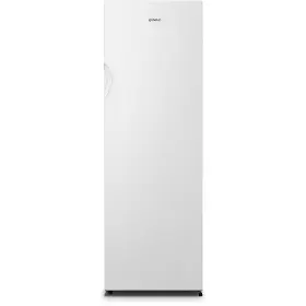 Zásuvková mraznička - Gorenje FN4172CW - 1