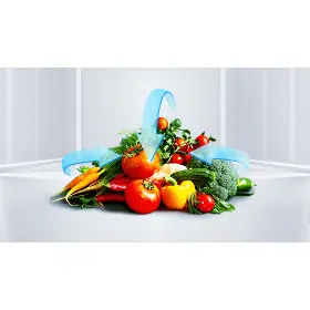 Kombinovaná chladnička - TCL RP409BWD0EU - 15