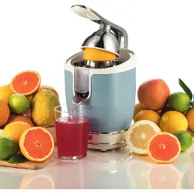 Lis na citrusy - Ariete ART 413/05 - 5