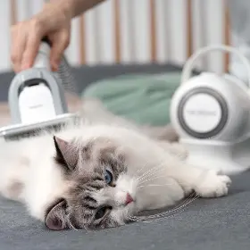 Produktový obrázek