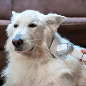 Produktový obrázek