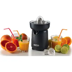 Lis na citrusy - Ariete ART 417 - 3