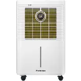 Rohnson R-91210 True Ion & Fresh Air