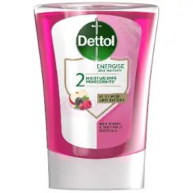 Náhradní náplň - Dettol Mýdlo lesní plody 250 ml - 1