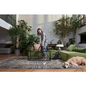 Vysávač bezvreckový - Hoover HP210P 011 HP2 PET - 14