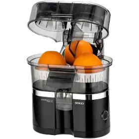 Lis na citrusy - Sogo SS-5299 - 4