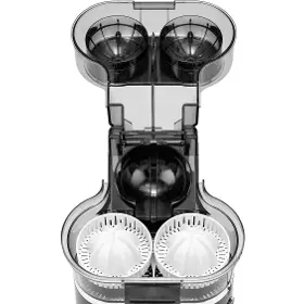 Lis na citrusy - Sogo SS-5299 - 7