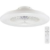 Beper P206VEN640