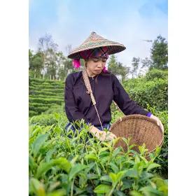 Produktový obrázok