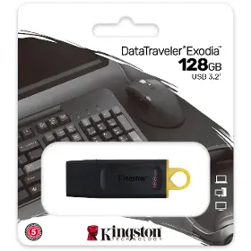 Flashdisk - Kingston DataTraveler X 128GB - 6