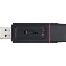 Flashdisk - Kingston DataTraveler X 256GB - 3