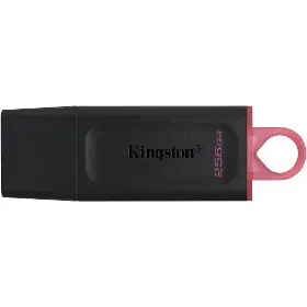Flashdisk - Kingston DataTraveler X 256GB - 4