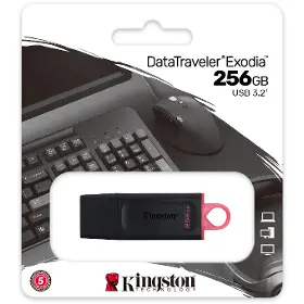 Flashdisk - Kingston DataTraveler X 256GB - 6