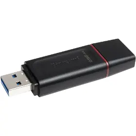 Flashdisk - Kingston DataTraveler X 256GB - 1
