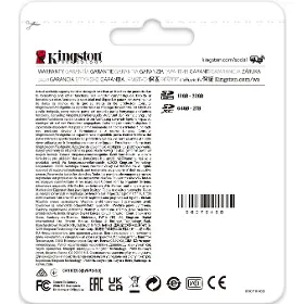 Paměťová karta - Kingston SDR2 256GB - 10