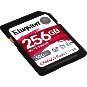 Paměťová karta - Kingston SDR2 256GB - 2