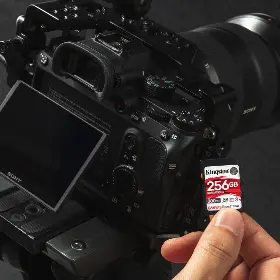 Paměťová karta - Kingston SDR2 256GB - 6