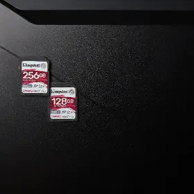 Paměťová karta - Kingston SDR2 256GB - 7